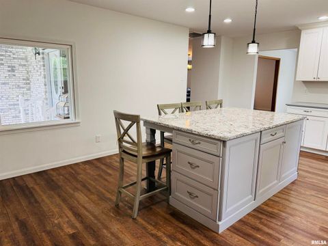 Tiny photo for 111 Stork Street, Anna, IL 62906 (MLS # EB457785)