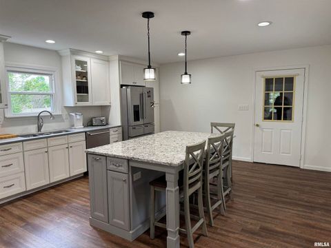 Tiny photo for 111 Stork Street, Anna, IL 62906 (MLS # EB457785)