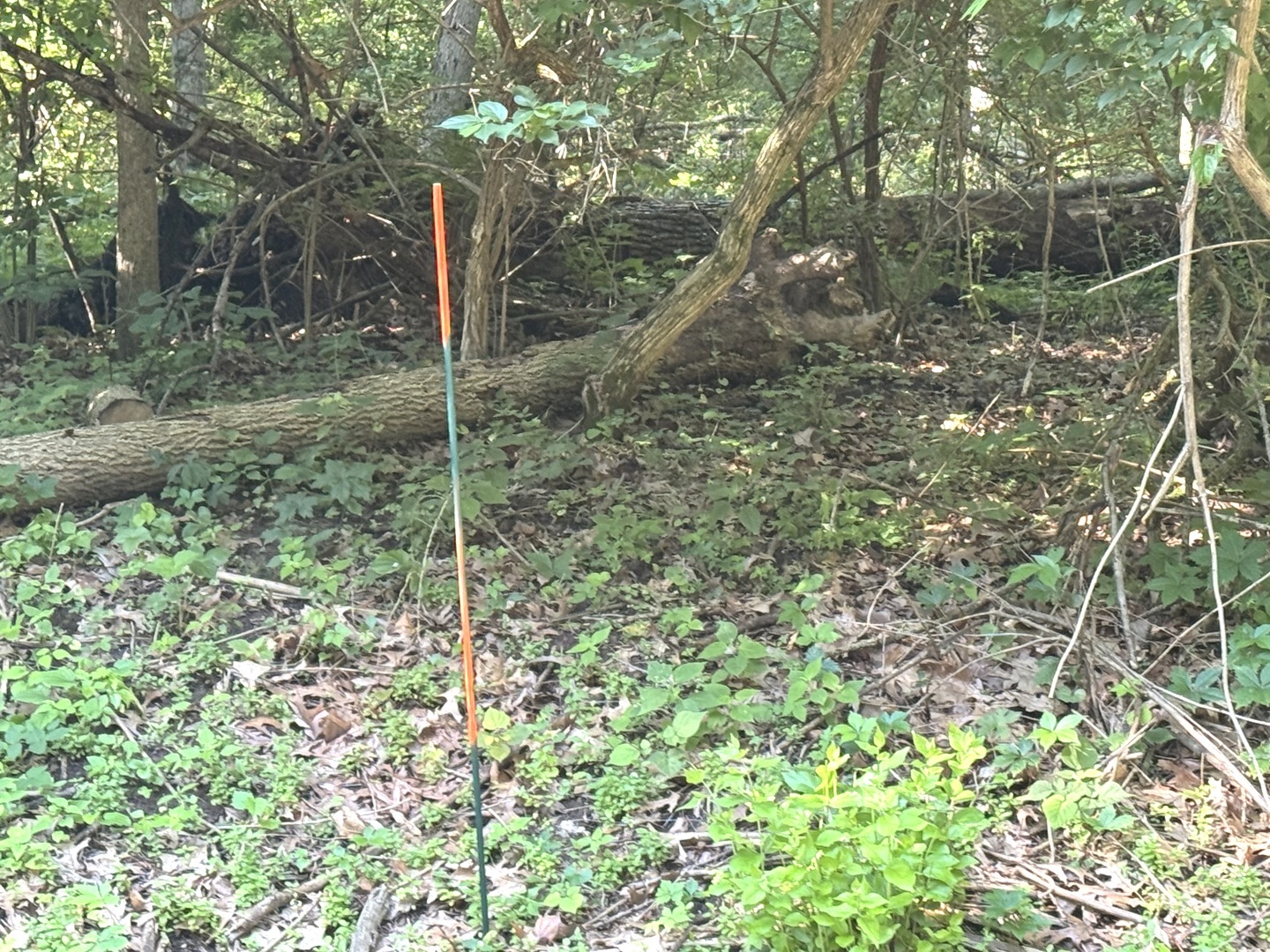Lot 90 Lake Thunderbird Drive