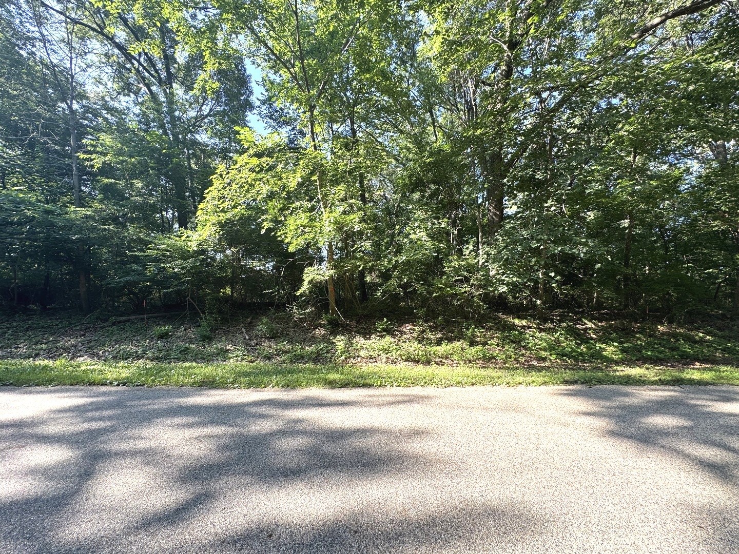 Lot 90 Lake Thunderbird Drive