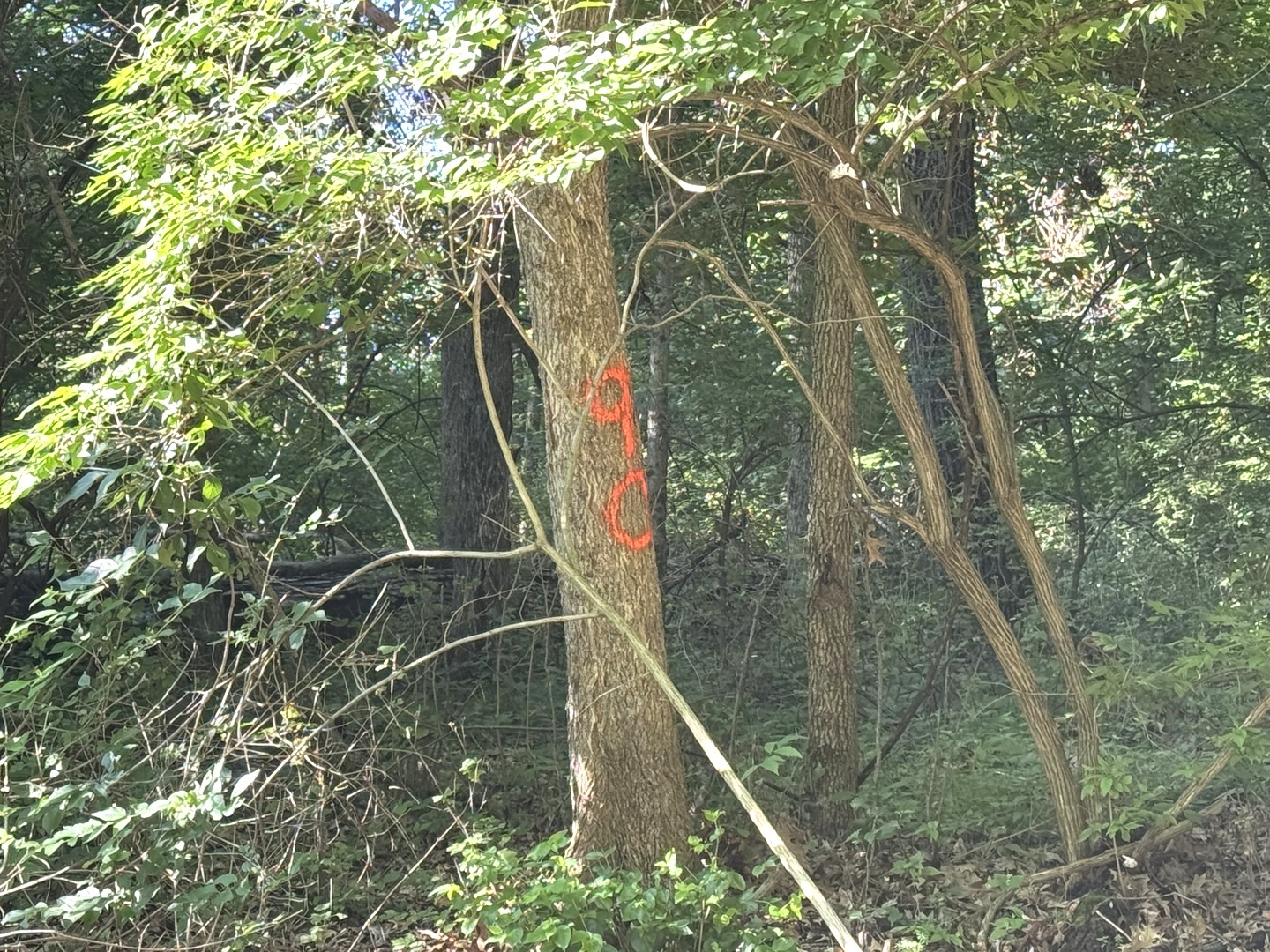 Lot 90 Lake Thunderbird Drive