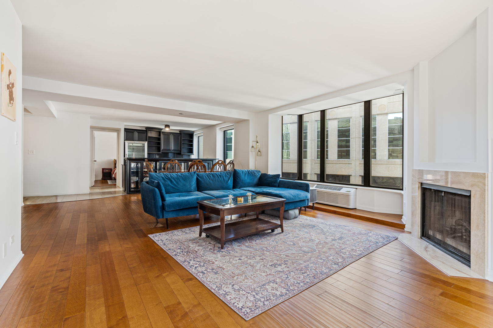 40 E Delaware Place 1502