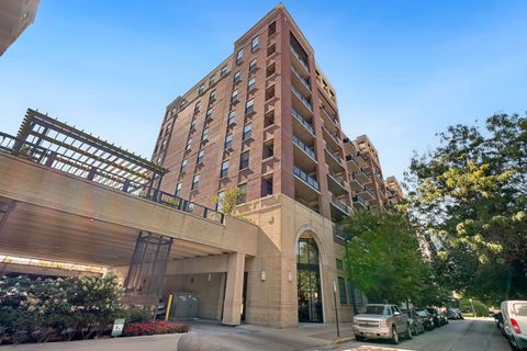 833 W 15th Place 315 Chicago IL 60608