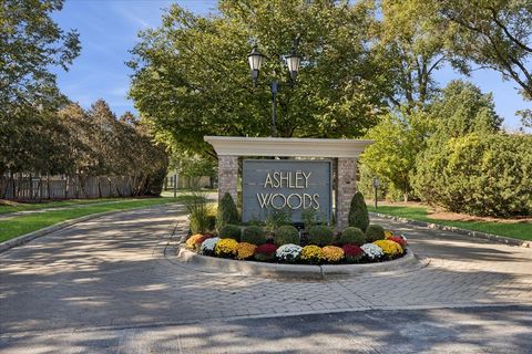 Tiny photo for 11438 Ashley Woods Drive, Westchester, IL 60154 (MLS # 12520780)