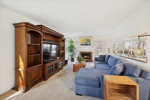 Tiny photo for 11438 Ashley Woods Drive, Westchester, IL 60154 (MLS # 12520780)