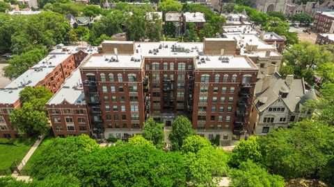 4537 S Drexel Boulevard 504 Chicago IL 60653