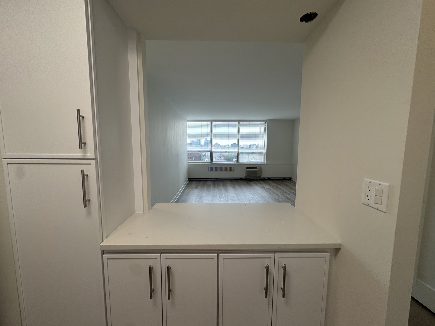 70 W Burton Place 1108