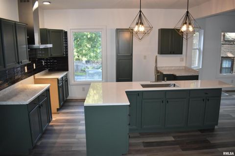 Tiny photo for 926 43RD Street, Rock Island, IL 61201 (MLS # 12586364)