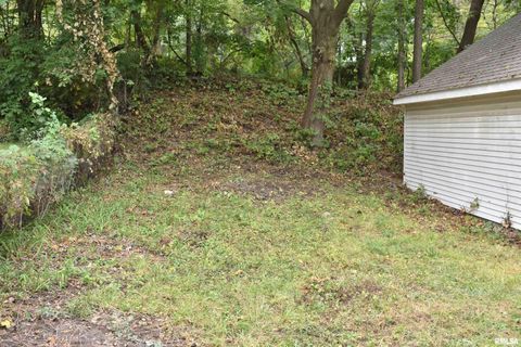 Tiny photo for 926 43RD Street, Rock Island, IL 61201 (MLS # 12586364)