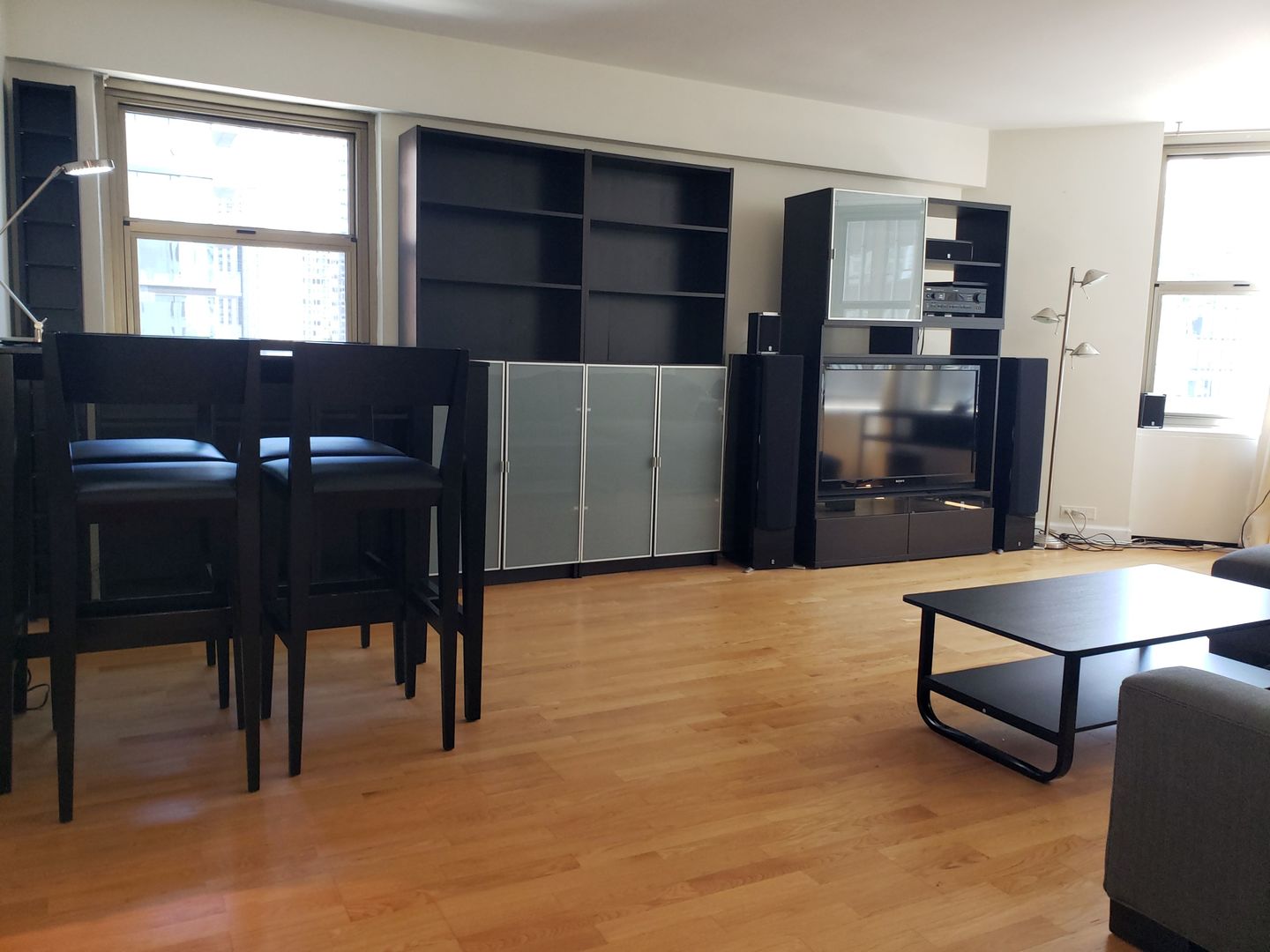 535 N MICHIGAN Avenue 1508