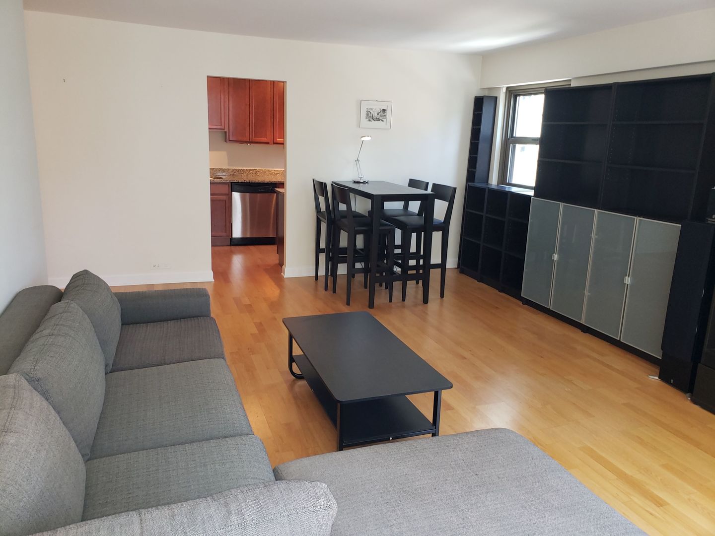 535 N MICHIGAN Avenue 1508