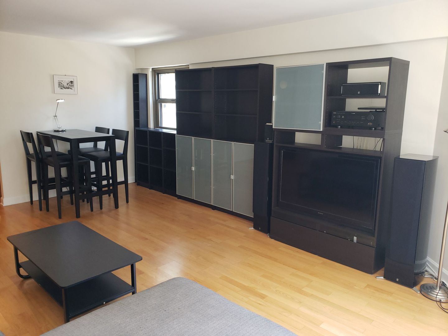 535 N MICHIGAN Avenue 1508