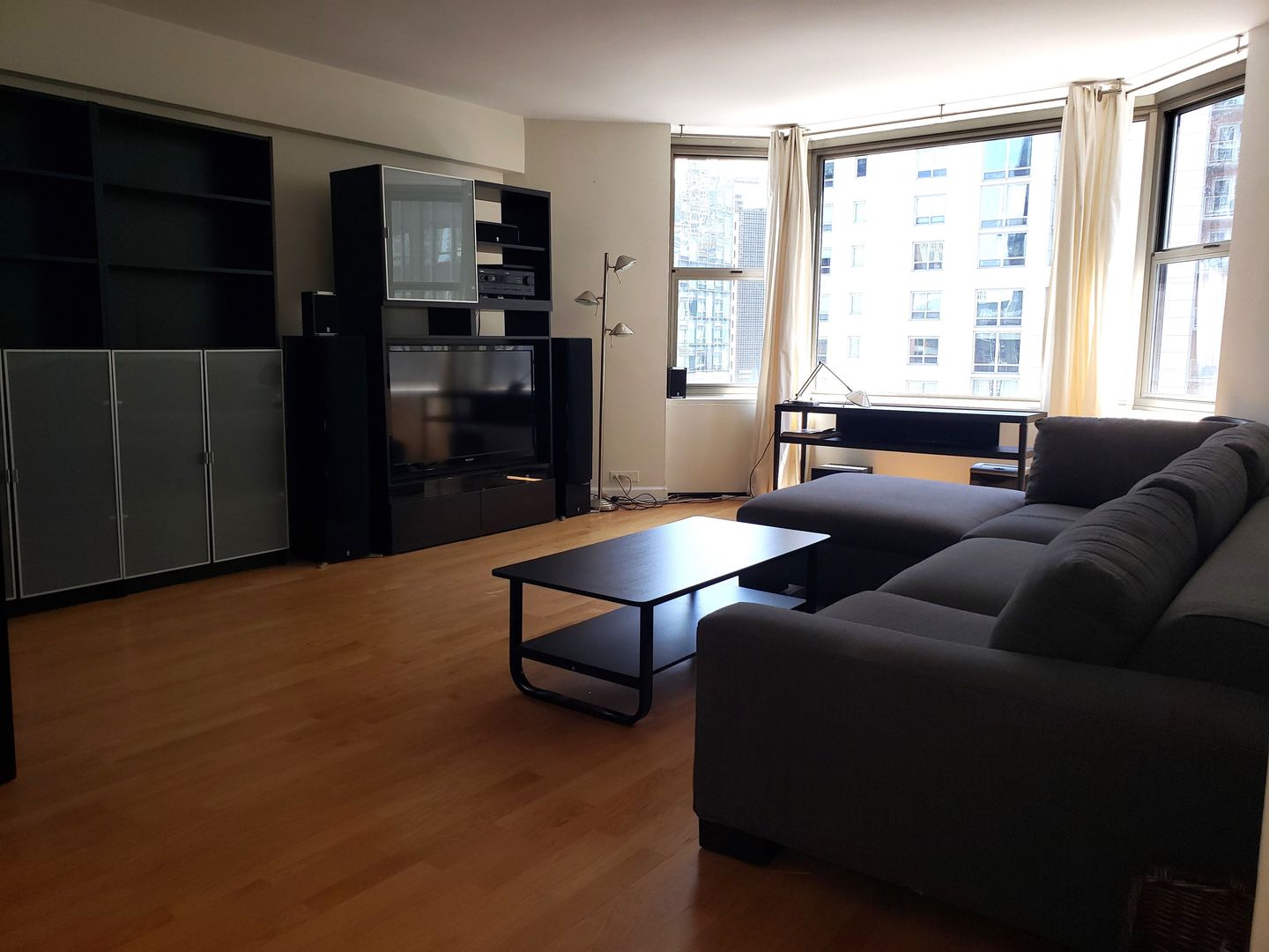 535 N MICHIGAN Avenue 1508