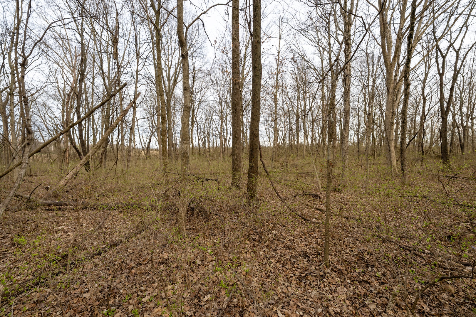 Lot 9 Raintree Woods Drive