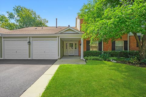 Photo of 125 CLEVELAND Court #M2, Schaumburg, IL 60193 (MLS # 12451844)