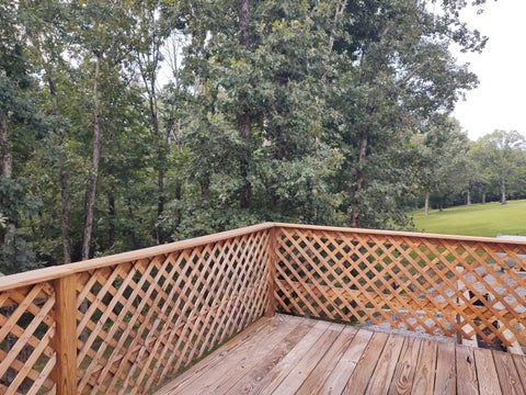 Tiny photo for 1475 Hound Dog Ridge Road, Vienna, IL 62995 (MLS # 100539098)