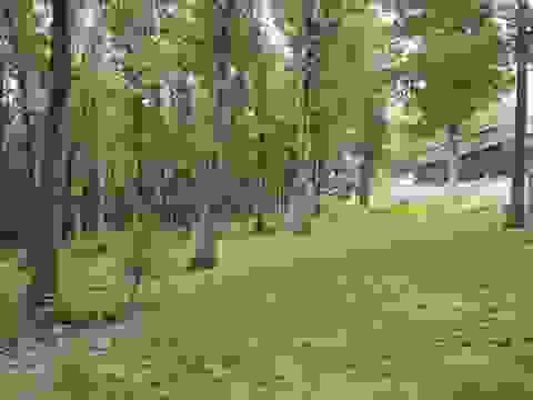 Tiny photo for 1475 Hound Dog Ridge Road, Vienna, IL 62995 (MLS # 100539098)