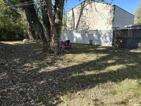 Tiny photo for 1210 S HICKORY Street, Centralia, IL 62801 (MLS # EB460198)