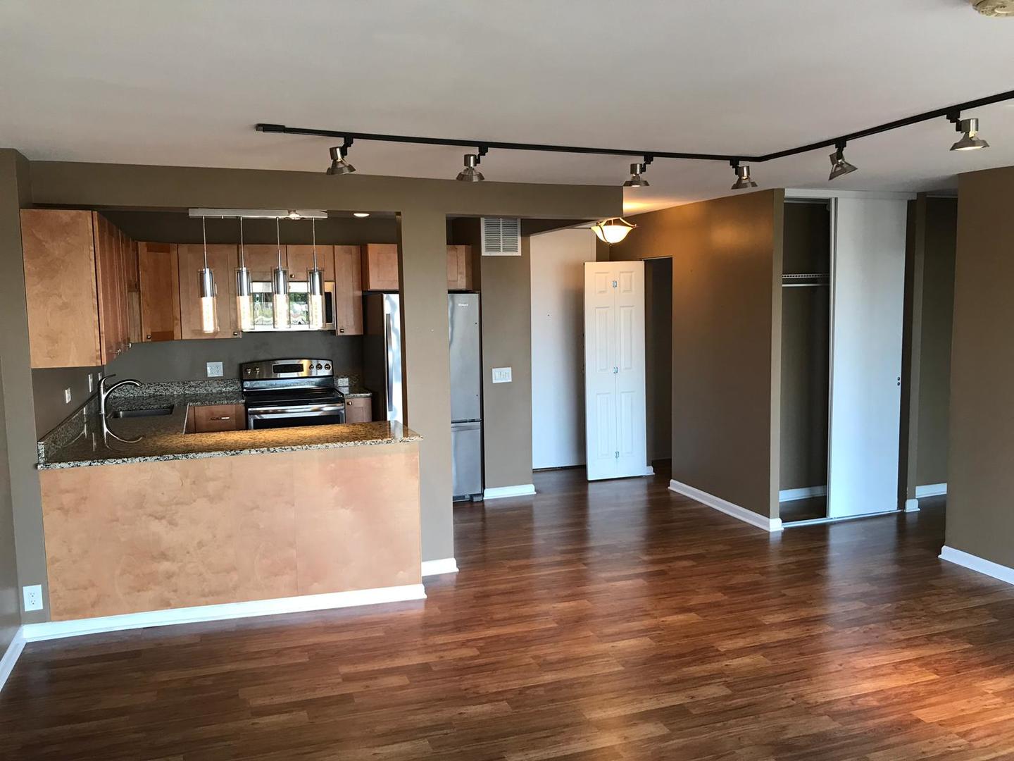 5445 N Sheridan Road 1111