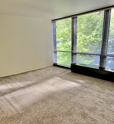 900 N Lake Shore Drive 301