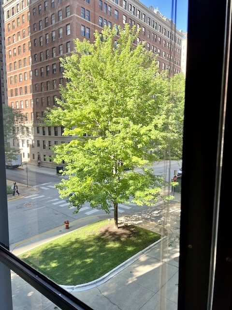 900 N Lake Shore Drive 301