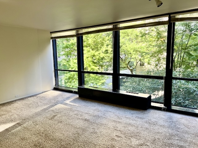 900 N Lake Shore Drive 301