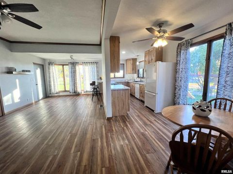 Tiny photo for 18316 W 266TH Street, Illinois City, IL 61259 (MLS # QC4266277)