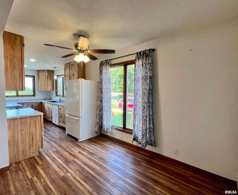 Tiny photo for 18316 W 266TH Street, Illinois City, IL 61259 (MLS # QC4266277)