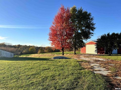 Tiny photo for 18316 W 266TH Street, Illinois City, IL 61259 (MLS # QC4266277)