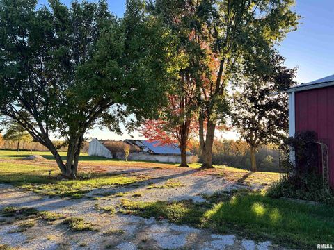 Tiny photo for 18316 W 266TH Street, Illinois City, IL 61259 (MLS # QC4266277)