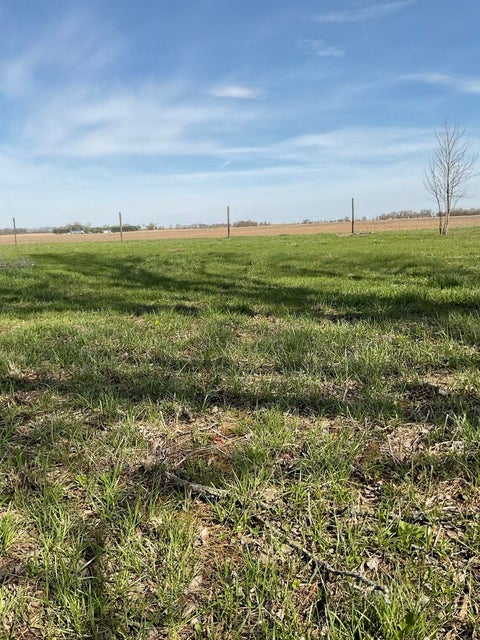 Tiny photo for 8809 E 3100 North Road, Potomac, IL 61865 (MLS # 12668820)
