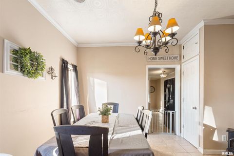 Tiny photo for 203 E Saint Louis Street, West Frankfort, IL 62896 (MLS # EB460371)