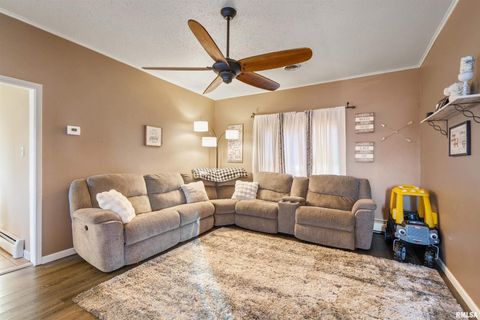 Tiny photo for 203 E Saint Louis Street, WestFrank, IL 62896 (MLS # EB460371)