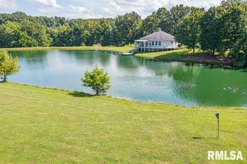 Tiny photo for 14290 E WINDSONG Road, Mt Vernon, IL 62864 (MLS # EB458868)