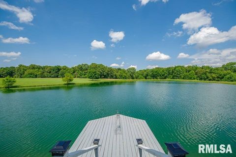 Tiny photo for 14290 E WINDSONG Road, Mt Vernon, IL 62864 (MLS # EB458868)