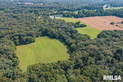 Tiny photo for 14290 E WINDSONG Road, Mt Vernon, IL 62864 (MLS # EB458868)