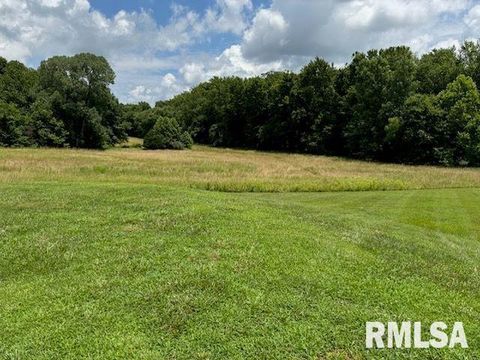 Tiny photo for 14290 E WINDSONG Road, Mt Vernon, IL 62864 (MLS # EB458868)