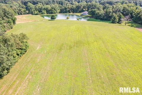 Tiny photo for 14290 E WINDSONG Road, Mt Vernon, IL 62864 (MLS # EB458868)