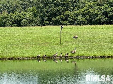 Tiny photo for 14290 E WINDSONG Road, Mt Vernon, IL 62864 (MLS # EB458868)