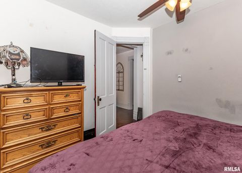 Tiny photo for 326 N VAIL Street, Geneseo, IL 61254 (MLS # QC4267217)