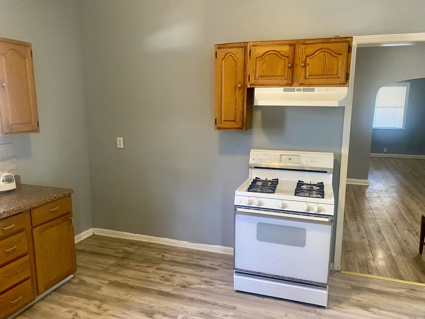 6336 S Paulina Avenue, Chicago, IL, 60636 4 6336 S Paulina Avenue