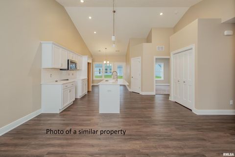 Tiny photo for 118 BEACON HARBOR Circle, East Moline, IL 61244 (MLS # QC4269901)