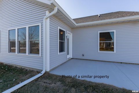 Tiny photo for 118 BEACON HARBOR Circle, East Moline, IL 61244 (MLS # QC4269901)
