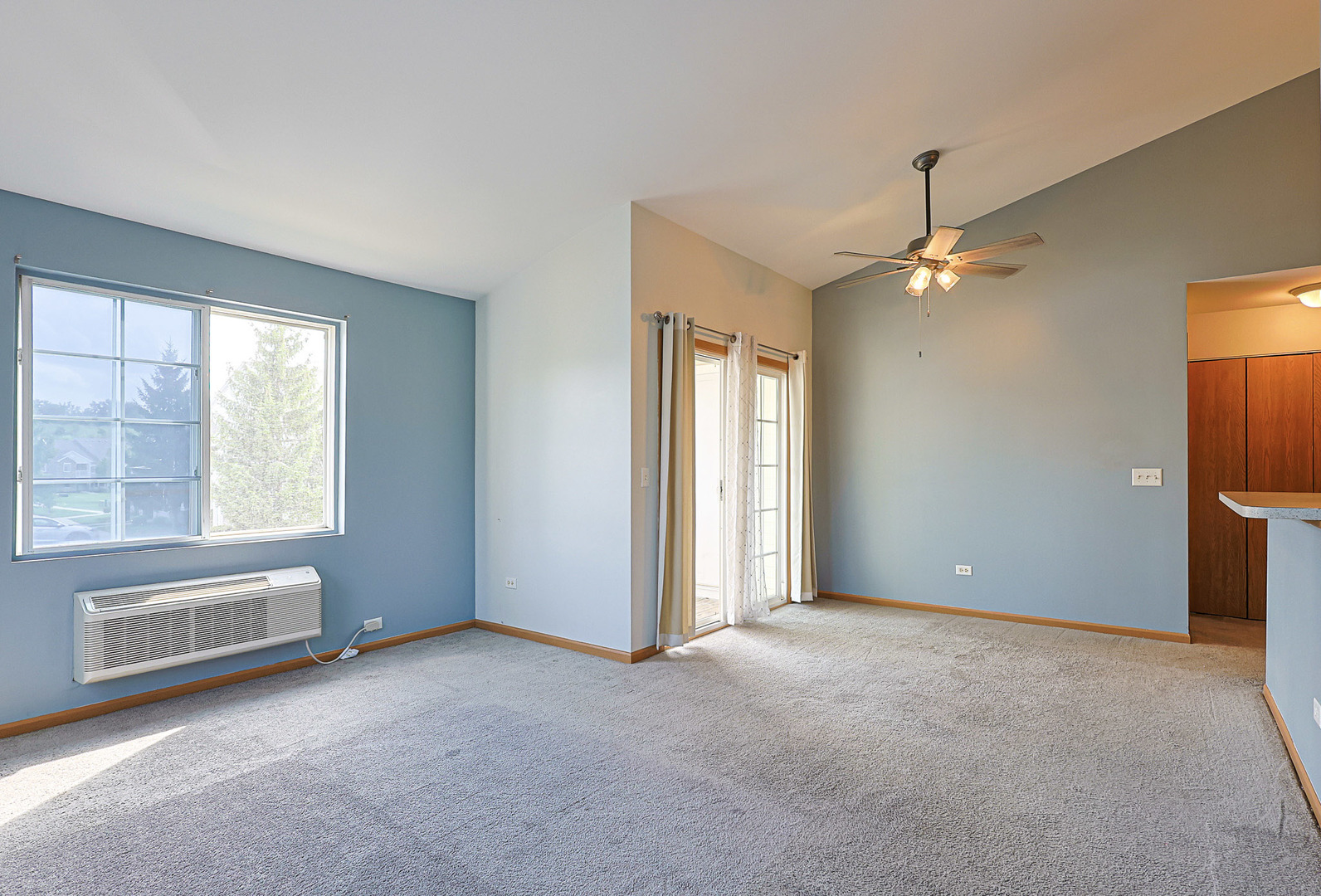 223 SILVERSTONE Drive 223
