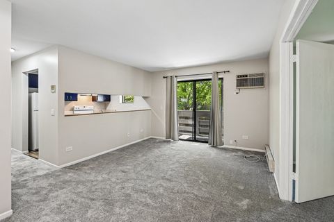 Tiny photo for 1319 N Winslowe Drive #203, Palatine, IL 60074 (MLS # 12679972)