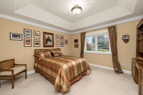 Tiny photo for 206 Sawgrass Drive, Palos Heights, IL 60463 (MLS # 12494298)