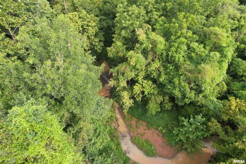 Tiny photo for 200 CRESTVIEW Drive, Dongola, IL 62926 (MLS # EB459378)