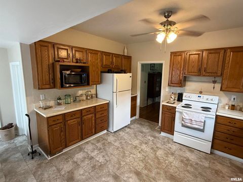 Tiny photo for 200 CRESTVIEW Drive, Dongola, IL 62926 (MLS # EB459378)