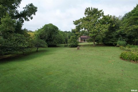 Tiny photo for 200 CRESTVIEW Drive, Dongola, IL 62926 (MLS # EB459378)