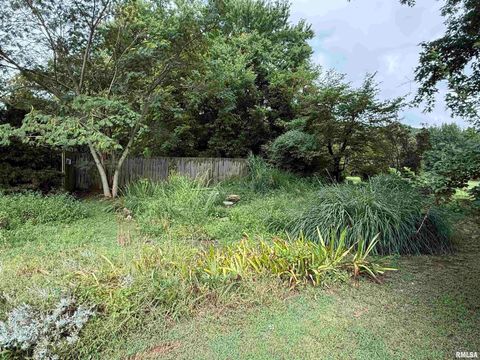 Tiny photo for 200 CRESTVIEW Drive, Dongola, IL 62926 (MLS # EB459378)